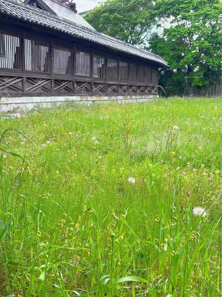 草花が揺れる緑の風景と、静かに佇む古い建物。ゆっくり呼吸をしたくなるような、穏やかな時間を感じる景色。