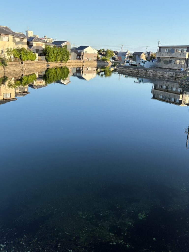 穏やかな水面に青空と周囲の街並みや木々が映り込む風景。朝のウォーキングで出会った、光と季節を感じる景色。